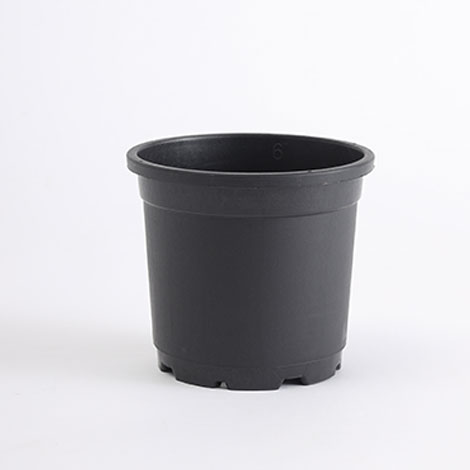 Plastic Pots